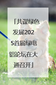 共谋绿色发展2025首届绿电铝论坛在大通召开