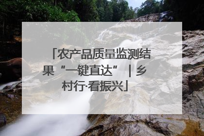 农产品质量监测结果“一键直达”｜乡村行·看振兴