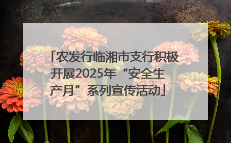 农发行临湘市支行积极开展2025年“安全生产月”系列宣传活动