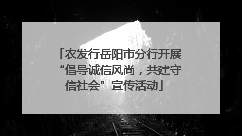 农发行岳阳市分行开展“倡导诚信风尚，共建守信社会”宣传活动