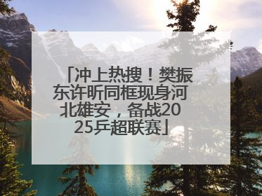 冲上热搜！樊振东许昕同框现身河北雄安，备战2025乒超联赛