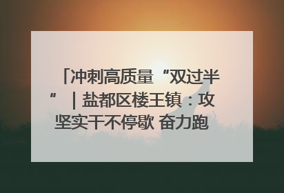 冲刺高质量“双过半”｜盐都区楼王镇：攻坚实干不停歇 奋力跑赢“上半场”