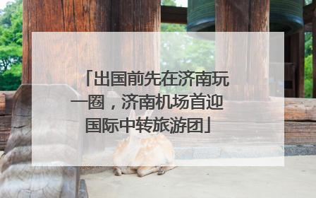 出国前先在济南玩一圈，济南机场首迎国际中转旅游团