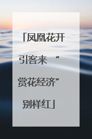 凤凰花开引客来 “赏花经济”别样红