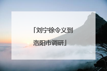 刘宁徐令义到洛阳市调研