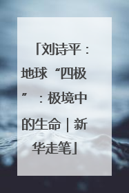 刘诗平：地球“四极”：极境中的生命｜新华走笔
