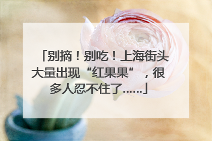 别摘！别吃！上海街头大量出现“红果果”，很多人忍不住了……