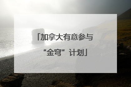 加拿大有意参与“金穹”计划