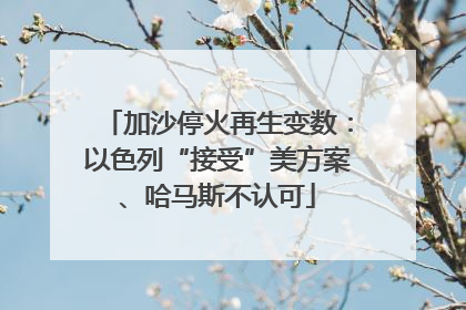 加沙停火再生变数：以色列“接受”美方案、哈马斯不认可