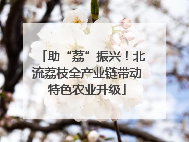 助“荔”振兴！北流荔枝全产业链带动特色农业升级
