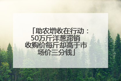 助农增收在行动：50万斤洋葱滞销 收购价每斤却高于市场价三分钱
