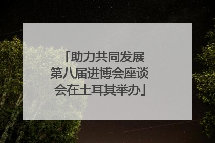 助力共同发展 第八届进博会座谈会在土耳其举办
