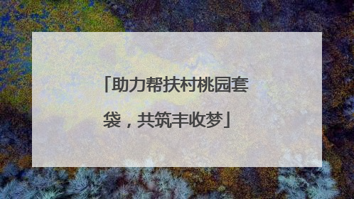 助力帮扶村桃园套袋，共筑丰收梦
