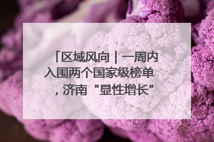 区域风向｜一周内入围两个国家级榜单，济南“显性增长”刷新城市影响力