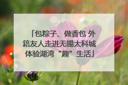 包粽子、做香包 外籍友人走进无锡太科城体验湖湾“趣”生活