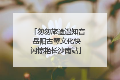 匆匆旅途遇知音 岳阳古琴文化快闪惊艳长沙南站