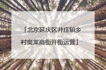 北京延庆区井庄镇乡村奥莱商街开街运营