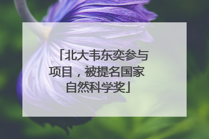 北大韦东奕参与项目，被提名国家自然科学奖