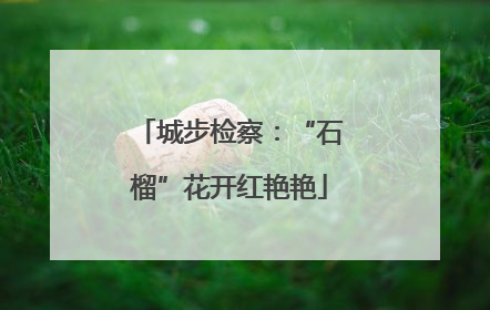 城步检察：“石榴”花开红艳艳