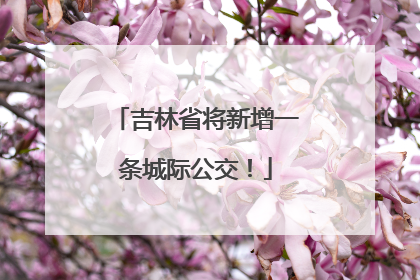 吉林省将新增一条城际公交！