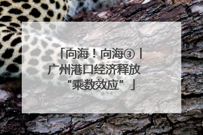 向海！向海③丨广州港口经济释放“乘数效应”