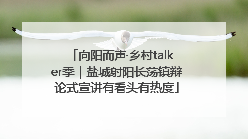 向阳而声·乡村talker季｜盐城射阳长荡镇辩论式宣讲有看头有热度