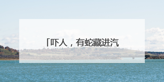 吓人，有蛇藏进汽车引擎盖！北京9天接9起“蛇警”