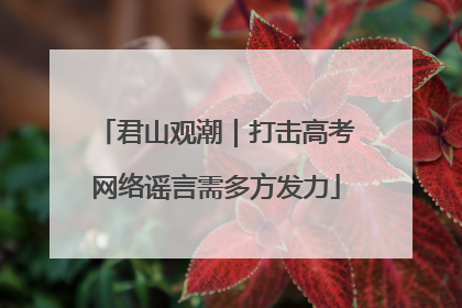 君山观潮｜打击高考网络谣言需多方发力