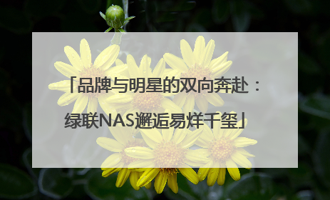品牌与明星的双向奔赴：绿联NAS邂逅易烊千玺