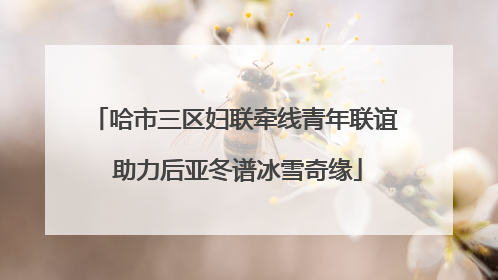 哈市三区妇联牵线青年联谊 助力后亚冬谱冰雪奇缘