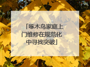 啄木鸟家庭上门维修在规范化中寻找突破