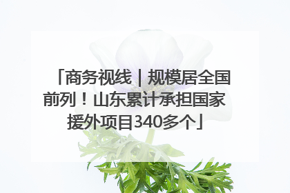 商务视线｜规模居全国前列！山东累计承担国家援外项目340多个