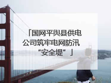 国网平舆县供电公司筑牢电网防汛“安全堤”