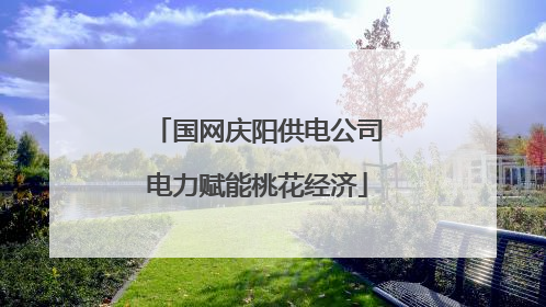 国网庆阳供电公司电力赋能桃花经济