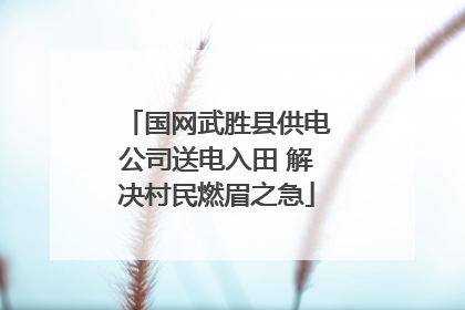 国网武胜县供电公司送电入田 解决村民燃眉之急