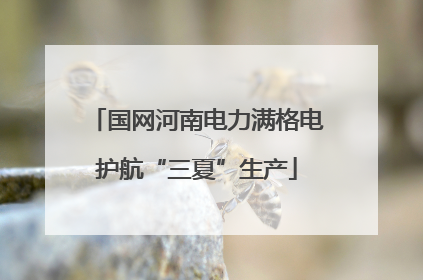 国网河南电力满格电护航“三夏”生产