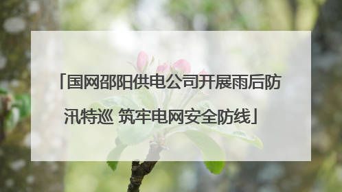国网邵阳供电公司开展雨后防汛特巡 筑牢电网安全防线
