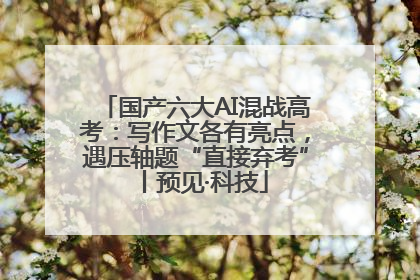 国产六大AI混战高考：写作文各有亮点，遇压轴题“直接弃考”丨预见·科技