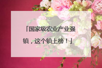 国家级农业产业强镇，这个镇上榜！