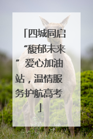 四城同启“馥郁未来”爱心加油站，温情服务护航高考