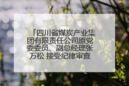 四川省煤炭产业集团有限责任公司原党委委员、副总经理张万松 接受纪律审查和监察调查