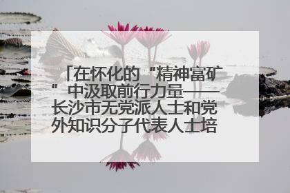 在怀化的“精神富矿”中汲取前行力量——长沙市无党派人士和党外知识分子代表人士培训班在怀化圆满举办