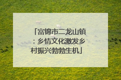 富锦市二龙山镇：乡情文化激发乡村振兴勃勃生机