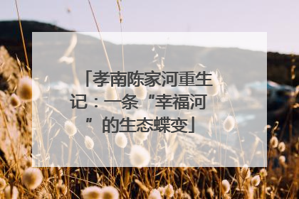 孝南陈家河重生记：一条“幸福河”的生态蝶变