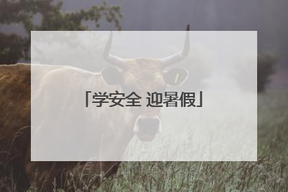 学安全 迎暑假