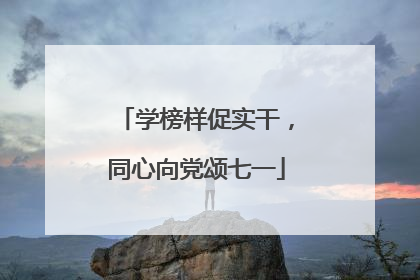 学榜样促实干，同心向党颂七一