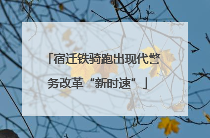 宿迁铁骑跑出现代警务改革“新时速”