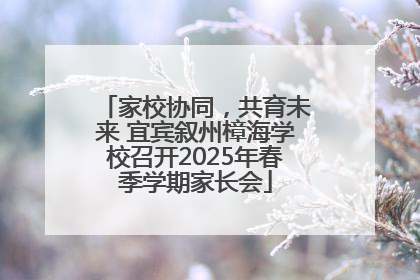 家校协同，共育未来 宜宾叙州樟海学校召开2025年春季学期家长会