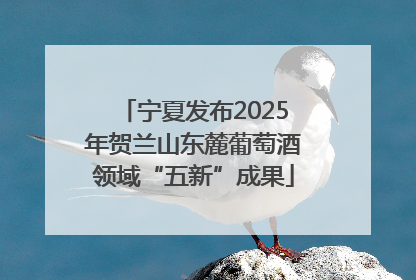 宁夏发布2025年贺兰山东麓葡萄酒领域“五新”成果