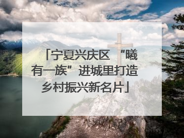 宁夏兴庆区 “曦有一族”进城里打造乡村振兴新名片